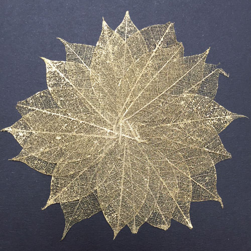 Pack of 100 Omin Brand Natural Rubber Tree Skeleton Leaves Decorative DIY Craft Leaf Kits 6 inch Height Approx with Ziplock Package Cream