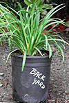 Use for planters and plant labels!