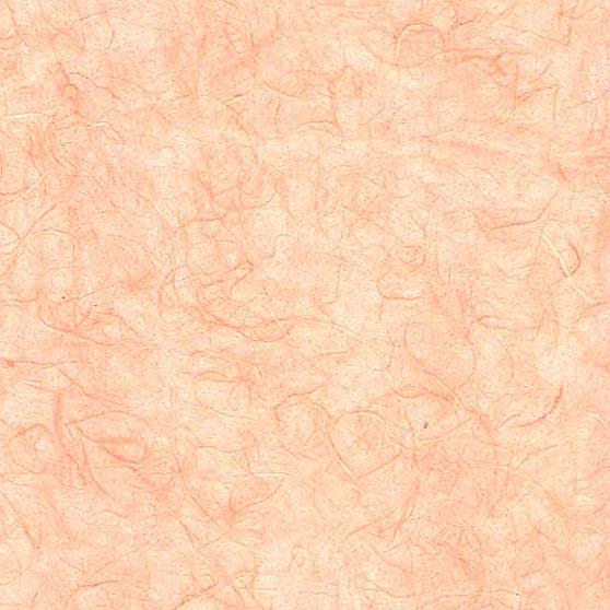Salmon Solids Unryu Black Ink Decorative Papers ART