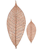 Rubber Tree Leaves - Copper