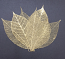 Rubber Tree Leaves - Gold 3"